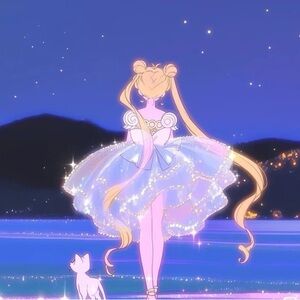 Meet your Posher, Dawn